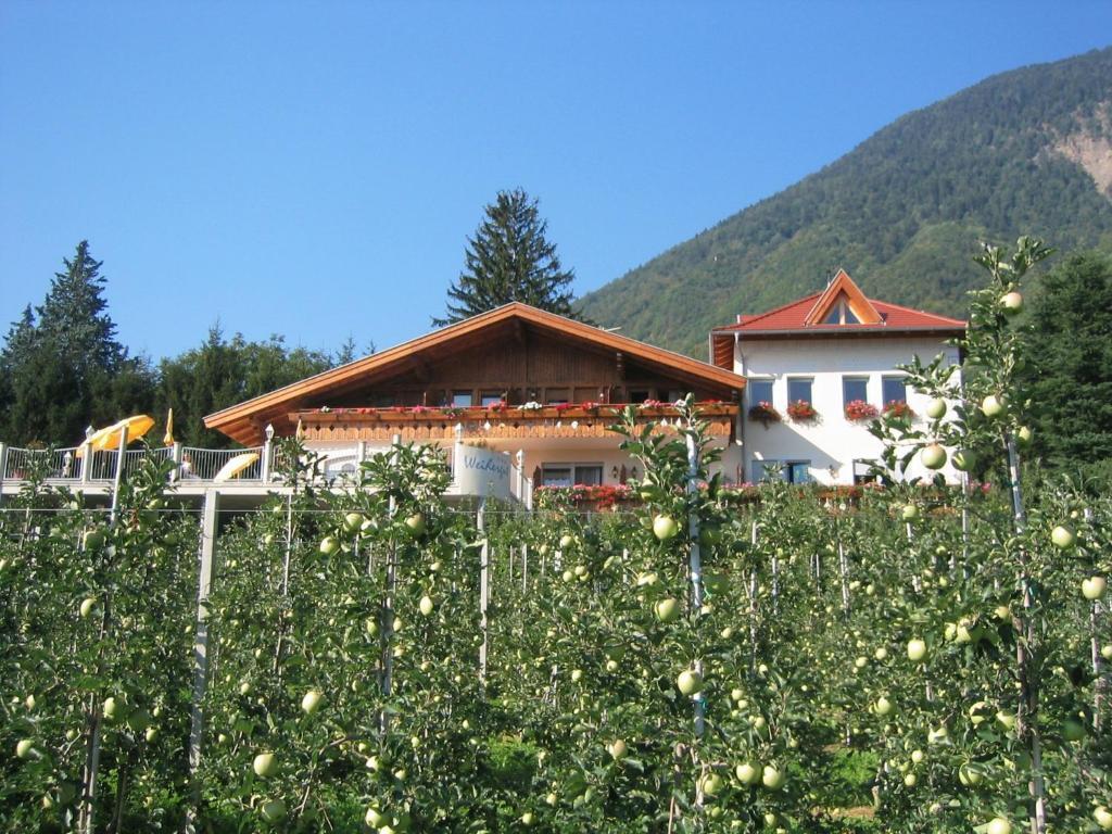Weihergut Hotel Cermes
